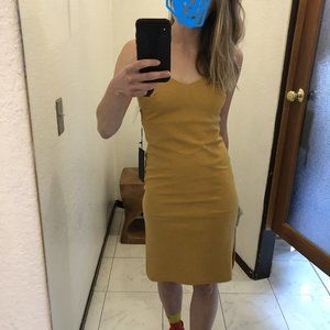 NWT Marigold Dress